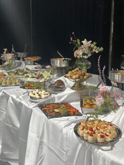 צהריים / ערב 50-60