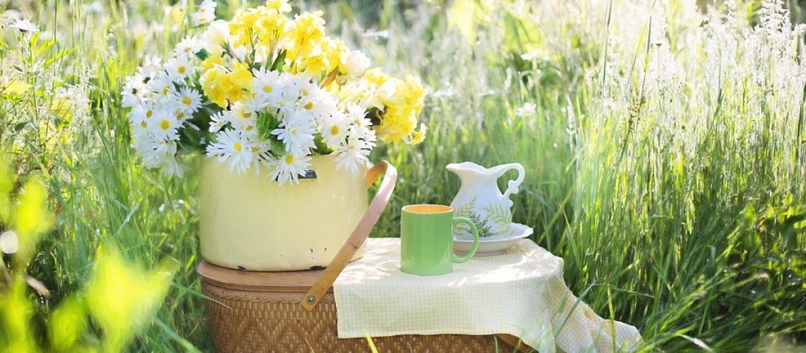 daisies-1466851_960_720